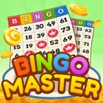 Bingo Master